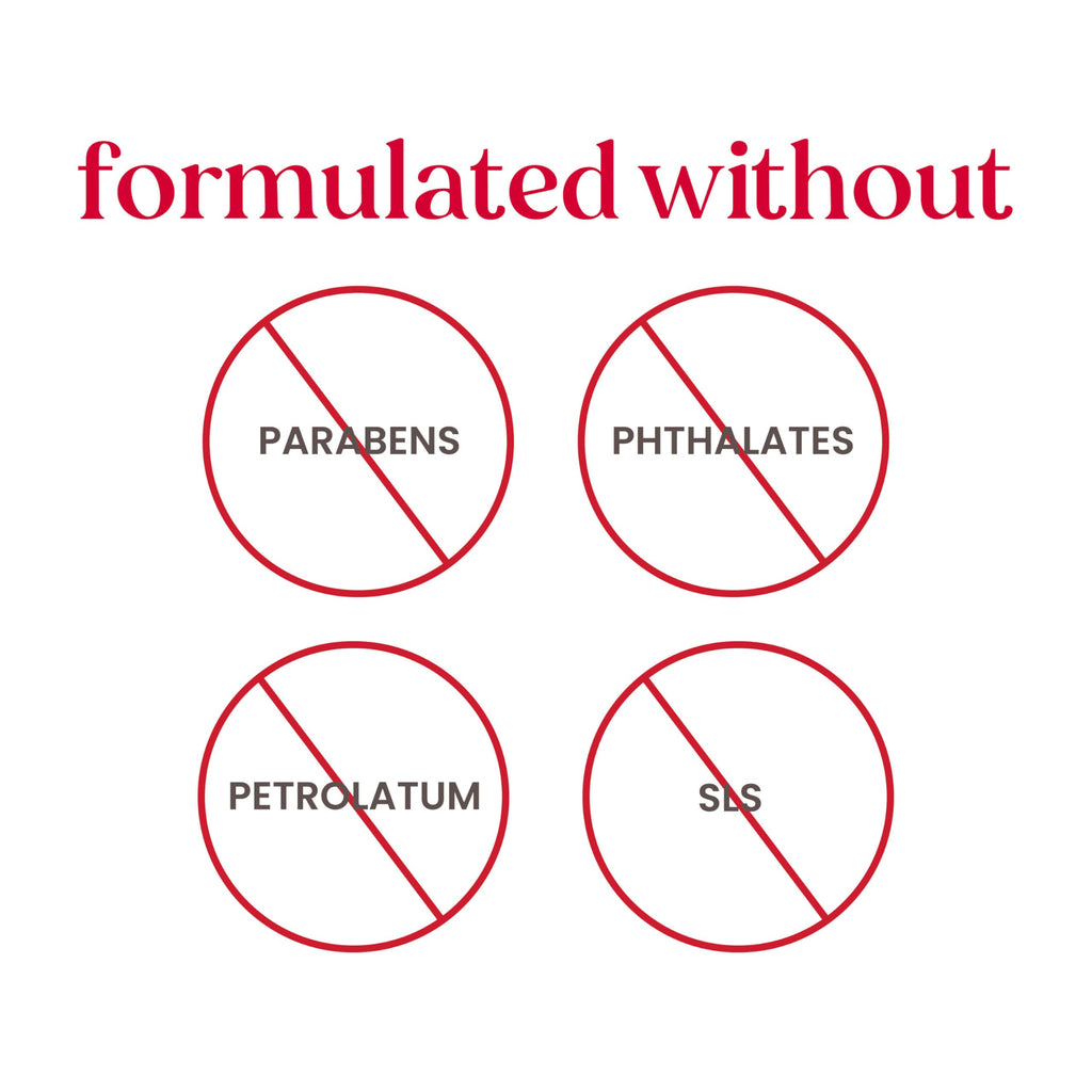 Burt's Bees Lip Balm - Pink Grapefruit, Mango, Coconut & Pear, and Pomegranate Pack, Lip Moisturizer With Beeswax, Tint-Free, Natural Origin Conditioning Treatment, 4 Tubes, 0.15 oz.