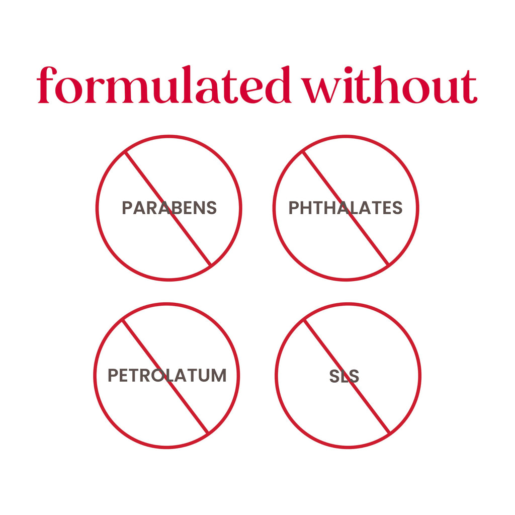 Burt's Bees Lip Balm - Pink Grapefruit, Mango, Coconut & Pear, and Pomegranate Pack, Lip Moisturizer With Beeswax, Tint-Free, Natural Origin Conditioning Treatment, 4 Tubes, 0.15 oz.