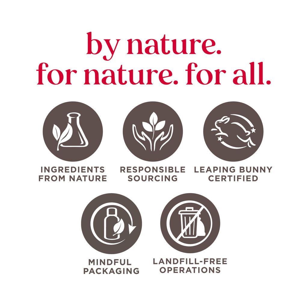 Burt's Bees Lip Balm - Pink Grapefruit, Mango, Coconut & Pear, and Pomegranate Pack, Lip Moisturizer With Beeswax, Tint-Free, Natural Origin Conditioning Treatment, 4 Tubes, 0.15 oz.