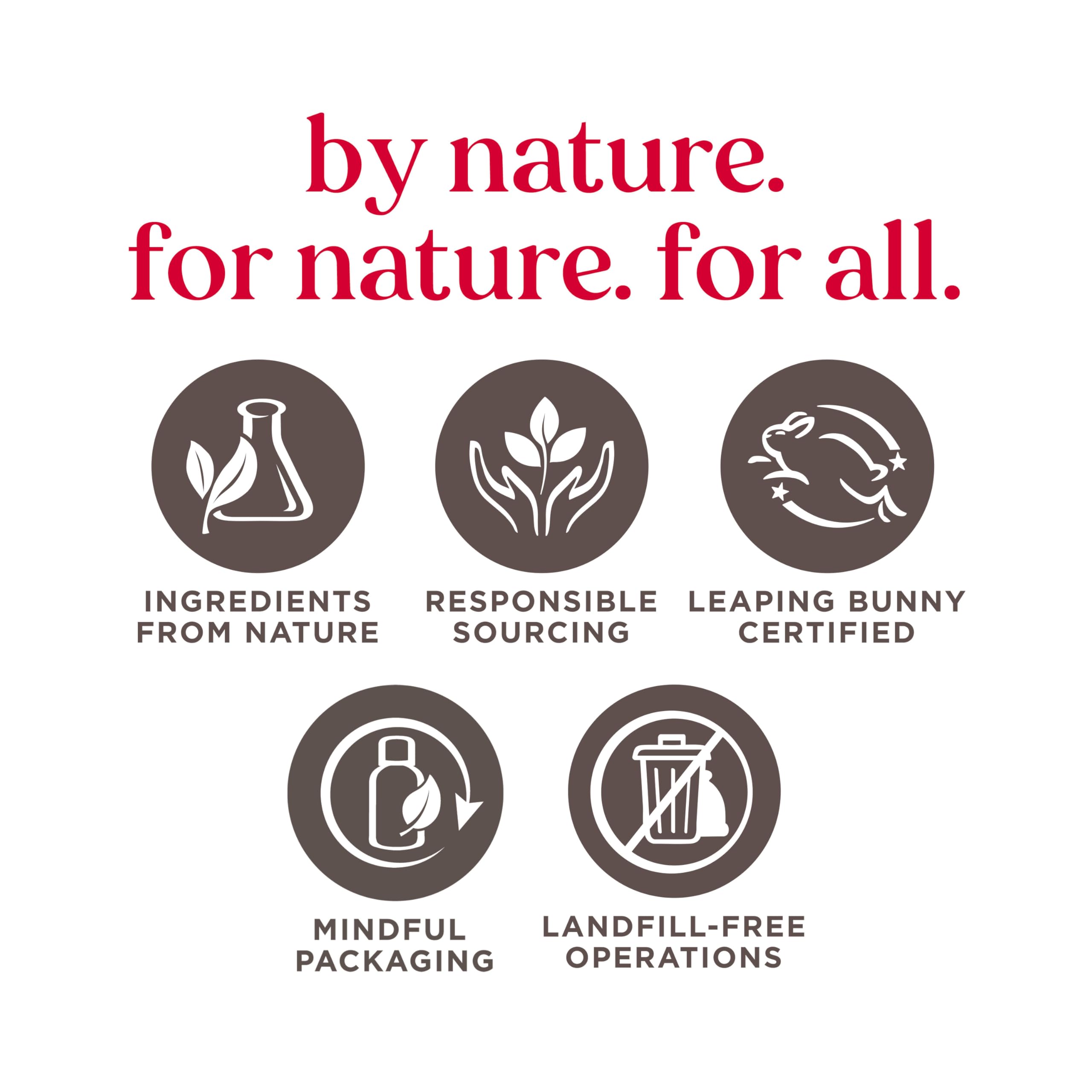 Burt's Bees Lip Balm - Pink Grapefruit, Mango, Coconut & Pear, and Pomegranate Pack, Lip Moisturizer With Beeswax, Tint-Free, Natural Origin Conditioning Treatment, 4 Tubes, 0.15 oz.